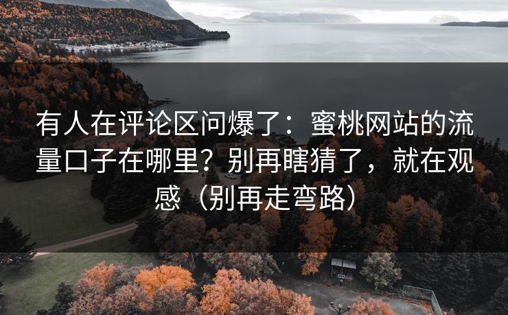 有人在评论区问爆了：蜜桃网站的流量口子在哪里？别再瞎猜了，就在观感（别再走弯路）