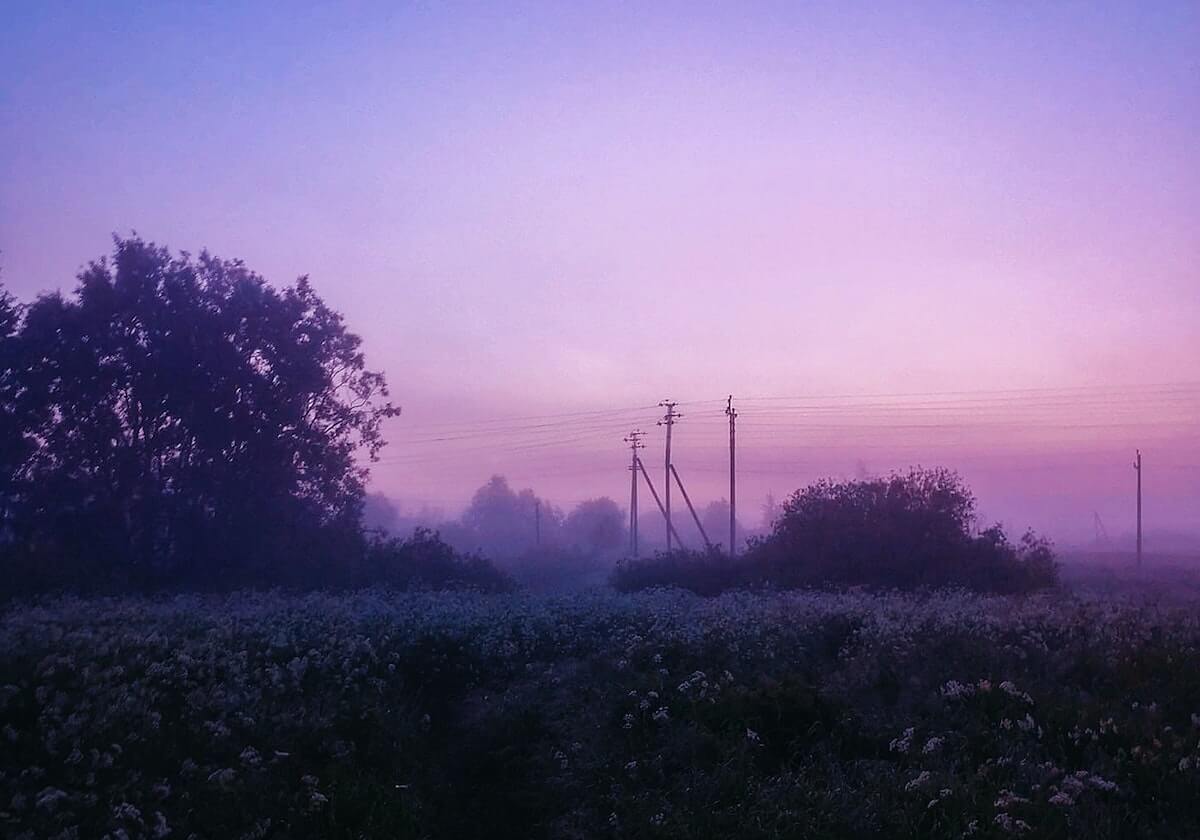 我终于承认：一通反复占线的来电之后，我才发现最可怕的是他早就计划好了