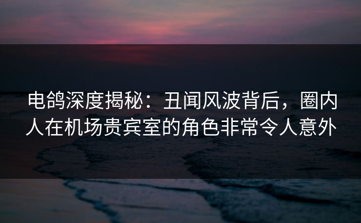 电鸽深度揭秘：丑闻风波背后，圈内人在机场贵宾室的角色非常令人意外